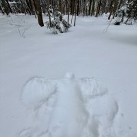 Оттиск) :: Любовь 