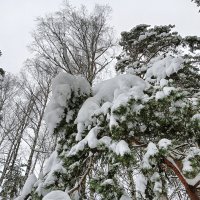 охраняет сон :: Владимир охраняет сон :: Владимир