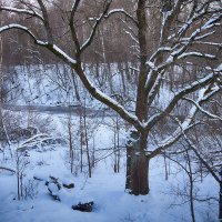 Зимняя зарисовка у реки Охты. :: Лилия *