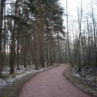 Парк Александрия :: Наталья Герасимова Парк Александрия :: Наталья Герасимова