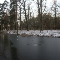 Парк Александрия :: Наталья Герасимова