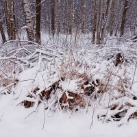 Снежно :: Лия ☼ Снежно :: Лия ☼