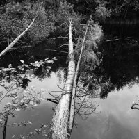 Фотография :: Денис Безногов