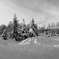 Игра  света   и тени в минус 18 градусов :: Фотогруппа Весна