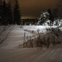 Зима за городом :: Татьяна Тюменка