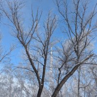 Январь :: Андрей Хлопонин