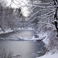 Парк Южный, Калининград :: Рита Симонова