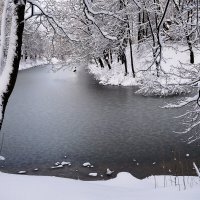 Парк Южный, Калининград :: Рита Симонова