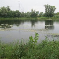 сентябрь за городом :: Елена Шаламова сентябрь за городом :: Елена Шаламова