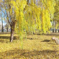 Осенний денек :: Надежда 