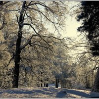 *** :: Aleksandr Gal *** :: Aleksandr Gal