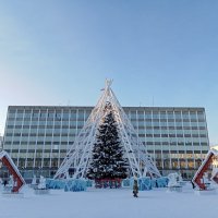 Ёлка днём :: Виктор 