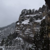 Природа Крыма :: Amazing Cosmea
