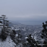 Природа Крыма :: Amazing Cosmea