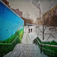 **** :: Алексей Архипов