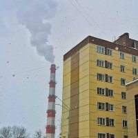 ***** :: Алексей Архипов