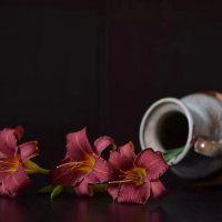 Лилейник :: Лена -