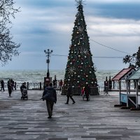 елка на набережной :: Дмитрий Лупандин