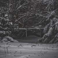 без названия :: fogmeadowww m