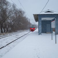 Электричка на станции :: Александр Синдерёв