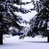 Снежный маршрут. :: Василий Палий