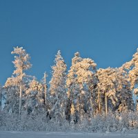 ****** :: Вячеслав Овчинников