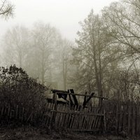 Старый забор :: Марина 