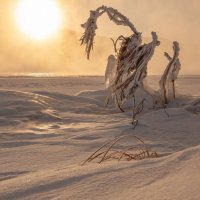 Зимние фантазии :: Сергей Герасимов