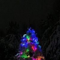 Старый новый год :: Александр Сансар