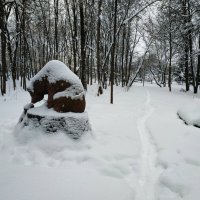 Решил проведать зверушек :: Андрей Лукьянов