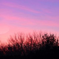 "Вновь закат разметался пожаром"... :: Любовь Сахарова "Вновь закат разметался пожаром"... :: Любовь Сахарова