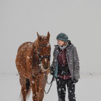 Прогулка на конюшне во время снегопада. :: Павел Крутенко