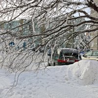 Снежное царство :: Ольга Снежное царство :: Ольга