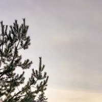 День сменяется вечером... :: Леонид Абросимов