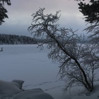 Зимняя графика :: Ольга Зимняя графика :: Ольга