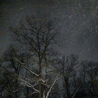 *** :: Валентина Береснева