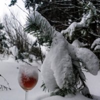 Вкус зимы :: sorovey Sol