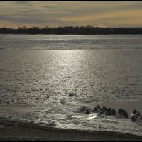 Одиночное плаванье... :: Aleksandr Gal Одиночное плаванье... :: Aleksandr Gal