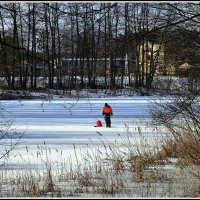 Идиллия :: Aleksandr Gal