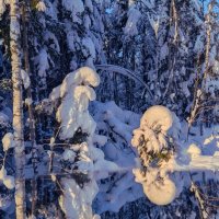 В страане Зазеркалья :: liudmila drake