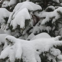 Баллада о Снеге :: олег свирский Баллада о Снеге :: олег свирский