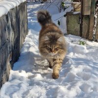 Иду к тебе! :: Наталья 