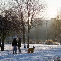 Зимняя зарисовка :: VL 