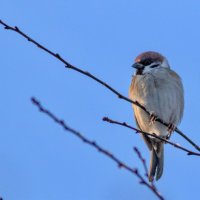 -- :: vladimir -- :: vladimir