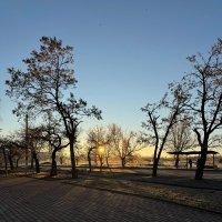 *** :: Яна Горбунова