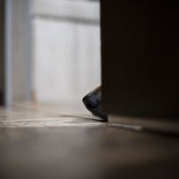 Глафира Великолепная) :: Алла Федосеева