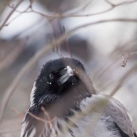 Что такое :: Алексей Булак