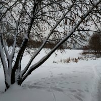Сезон нецветной фотографии в разгаре :: Андрей Лукьянов