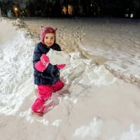 Зимние радости :: Veera V