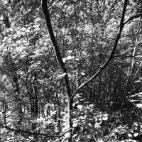 Фотография :: Денис Безногов